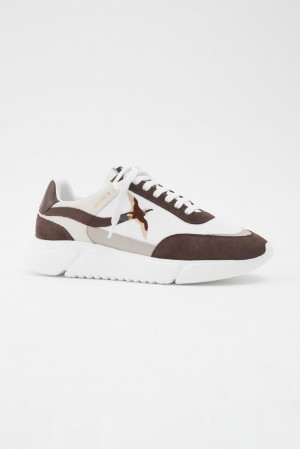 Axel Arigato Genesis Stripe B Bird Runner レディース Genesis 白 ブラウン | ZU56-1606W4